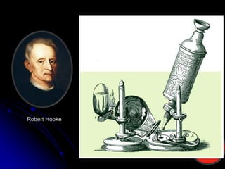 Robert Hooke
 