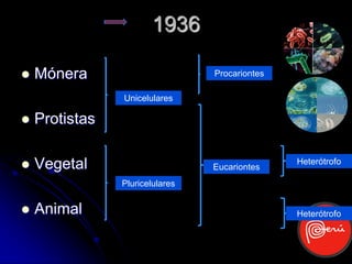 1936

   Mónera                       Procariontes

                Unicelulares

   Protistas

   Vegetal                      Eucariontes
                                                Heterótrofo

                Pluricelulares


   Animal                                      Heterótrofo
 