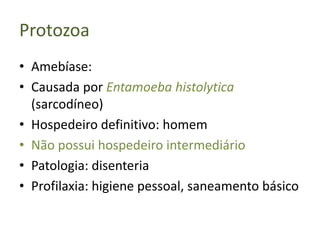 Protozoa
• Amebíase:
• Causada por Entamoeba histolytica
  (sarcodíneo)
• Hospedeiro definitivo: homem
• Não possui hospedeiro intermediário
• Patologia: disenteria
• Profilaxia: higiene pessoal, saneamento básico
 