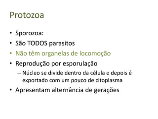Protozoa
•   Sporozoa:
•   São TODOS parasitos
•   Não têm organelas de locomoção
•   Reprodução por esporulação
    – Núcleo se divide dentro da célula e depois é
      exportado com um pouco de citoplasma
• Apresentam alternância de gerações
 