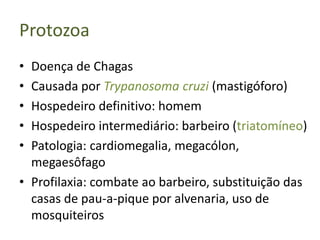 Protozoa
• Doença de Chagas
• Causada por Trypanosoma cruzi (mastigóforo)
• Hospedeiro definitivo: homem
• Hospedeiro intermediário: barbeiro (triatomíneo)
• Patologia: cardiomegalia, megacólon,
  megaesôfago
• Profilaxia: combate ao barbeiro, substituição das
  casas de pau-a-pique por alvenaria, uso de
  mosquiteiros
 