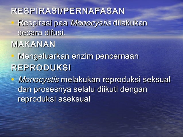 Contoh Difusi Dalam Tubuh - Contoh 408