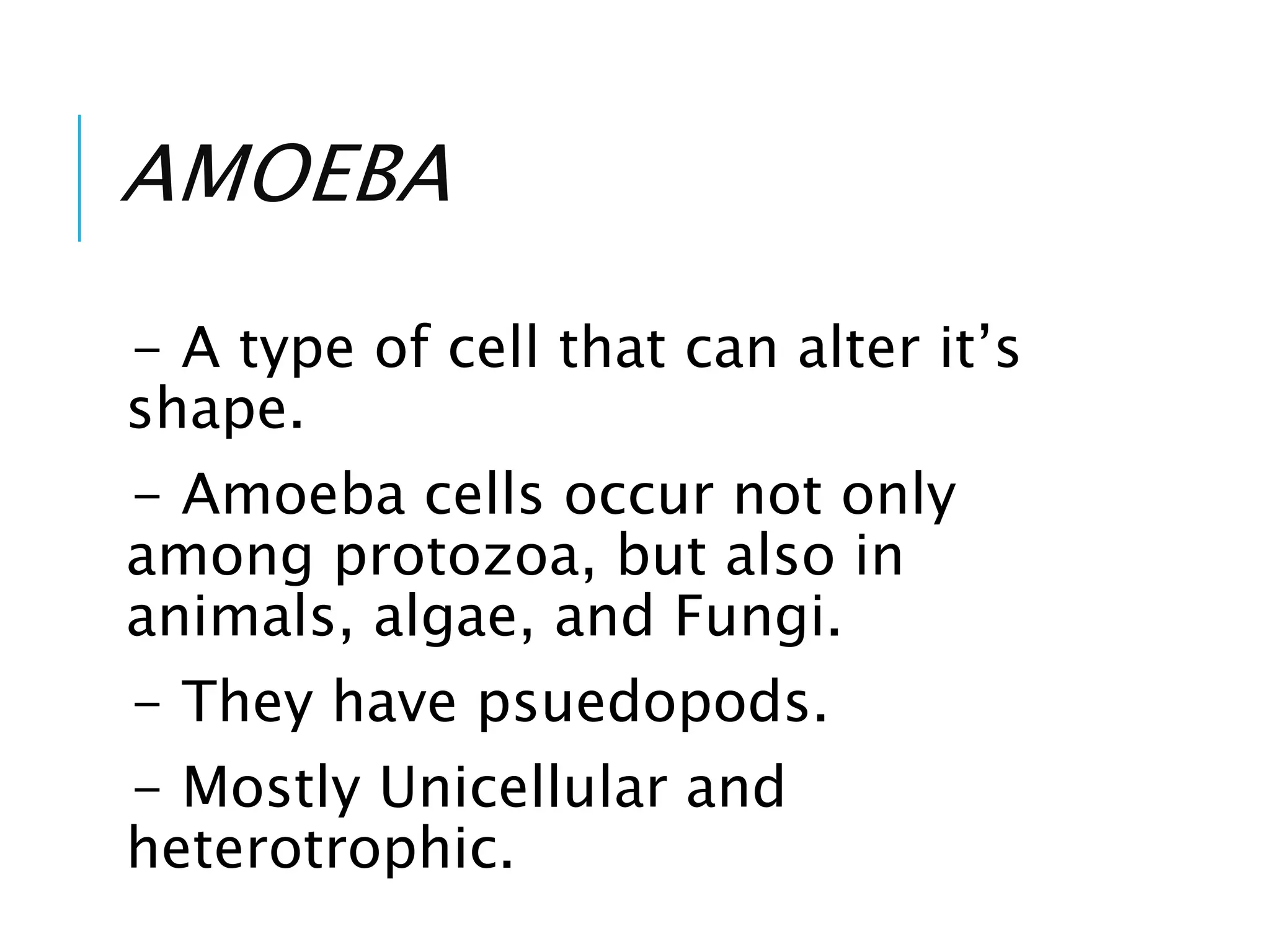 AMOEBA
- A type of cell that can alter it’s
shape.
- Amoeba cells occur not only
among protozoa, but also in
animals, algae, and Fungi.
- They have psuedopods.
- Mostly Unicellular and
heterotrophic.
 