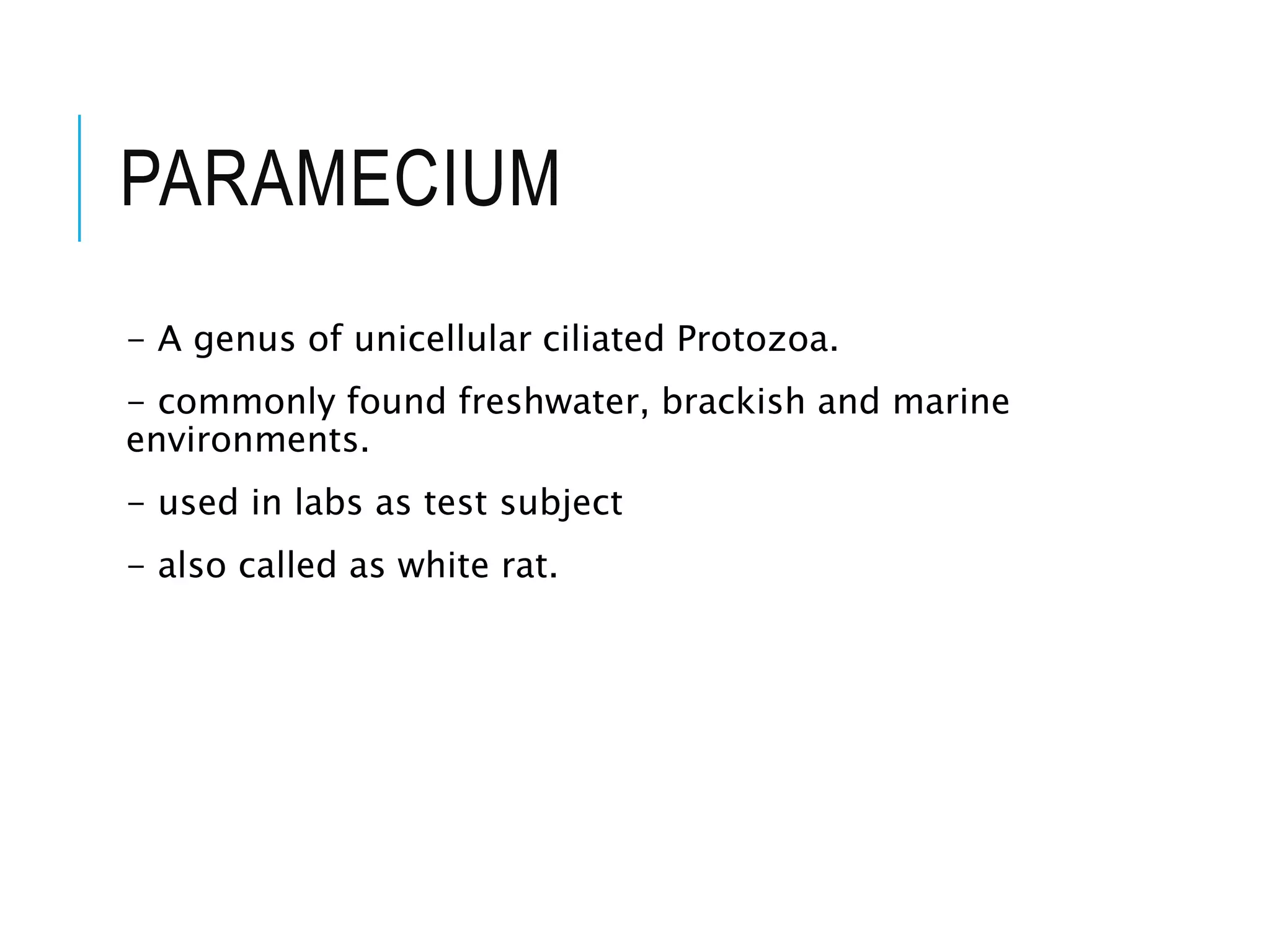 PARAMECIUM
- A genus of unicellular ciliated Protozoa.
- commonly found freshwater, brackish and marine
environments.
- used in labs as test subject
- also called as white rat.
 