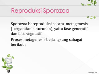 Sporozoa bereproduksi secara metagenesis
(pergantian keturunan), yaitu fase generatif
dan fase vegetatif.
Proses metagenesis berlangsung sabagai
berikut :
 