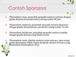  Plasmadium vivax, penyebab penyakit malaria tertiana dengan
gejala demam (masasporulasi) selang waktu 48 jam.
 Plasmodium malariae, penyebab penyakit malaria Quartana
dengan gejala demam(masa sporulasi) selang waktu 72 jam.
 Plasmodium falcifarum, penyebab penyakit malaria tropika
dengan gejala demam yang tidak teratur.
 Plasmadium ovale, disebut malaria ovale tertiana, akan tetapi
gejala demamnya lebih ringan daripada malaria tertiana yang
disebabkan Plasmodium vivax
 