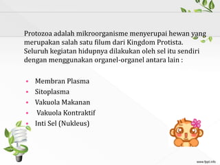 Protozoa adalah mikroorganisme menyerupai hewan yang
merupakan salah satu filum dari Kingdom Protista.
Seluruh kegiatan hidupnya dilakukan oleh sel itu sendiri
dengan menggunakan organel-organel antara lain :
 Membran Plasma
 Sitoplasma
 Vakuola Makanan
 Vakuola Kontraktif
 Inti Sel (Nukleus)
 