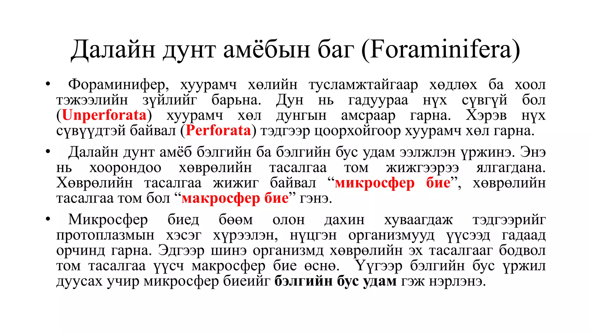 Далайн дунт амёбын баг (Foraminifera)
• Фораминифер, хуурамч хөлийн тусламжтайгаар хөдлөх ба хоол
тэжээлийн зүйлийг барьна. Дун нь гадуураа нүх сүвгүй бол
(Unperforata) хуурамч хөл дунгын амсраар гарна. Хэрэв нүх
сүвүүдтэй байвал (Perforata) тэдгээр цоорхойгоор хуурамч хөл гарна.
• Далайн дунт амёб бэлгийн ба бэлгийн бус удам ээлжлэн үржинэ. Энэ
нь хоорондоо хөврөлийн тасалгаа том жижгээрээ ялгагдана.
Хөврөлийн тасалгаа жижиг байвал “микросфер бие”, хөврөлийн
тасалгаа том бол “макросфер бие” гэнэ.
• Микросфер биед бөөм олон дахин хуваагдаж тэдгээрийг
протоплазмын хэсэг хүрээлэн, нүцгэн организмууд үүсээд гадаад
орчинд гарна. Эдгээр шинэ организмд хөврөлийн эх тасалгааг бодвол
том тасалгаа үүсч макросфер бие өснө. Үүгээр бэлгийн бус үржил
дуусах учир микросфер биеийг бэлгийн бус удам гэж нэрлэнэ.
 