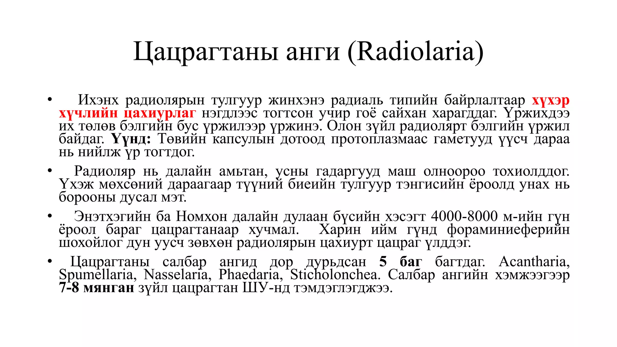 Цацрагтаны анги (Radiolaria)
• Ихэнх радиолярын тулгуур жинхэнэ радиаль типийн байрлалтаар хүхэр
хүчлийн цахиурлаг нэгдлээс тогтсон учир гоё сайхан харагддаг. Үржихдээ
их төлөв бэлгийн бус үржилээр үржинэ. Олон зүйл радиолярт бэлгийн үржил
байдаг. Үүнд: Төвийн капсулын дотоод протоплазмаас гаметууд үүсч дараа
нь нийлж үр тогтдог.
• Радиоляр нь далайн амьтан, усны гадаргууд маш олноороо тохиолддог.
Үхэж мөхсөний дараагаар түүний биеийн тулгуур тэнгисийн ёроолд унах нь
борооны дусал мэт.
• Энэтхэгийн ба Номхон далайн дулаан бүсийн хэсэгт 4000-8000 м-ийн гүн
ёроол бараг цацрагтанаар хучмал. Харин ийм гүнд фораминиеферийн
шохойлог дун уусч зөвхөн радиолярын цахиурт цацраг үлддэг.
• Цацрагтаны салбар ангид дор дурьдсан 5 баг багтдаг. Acantharia,
Spumellaria, Nasselaria, Phaedaria, Sticholonchea. Салбар ангийн хэмжээгээр
7-8 мянган зүйл цацрагтан ШУ-нд тэмдэглэгджээ.
 