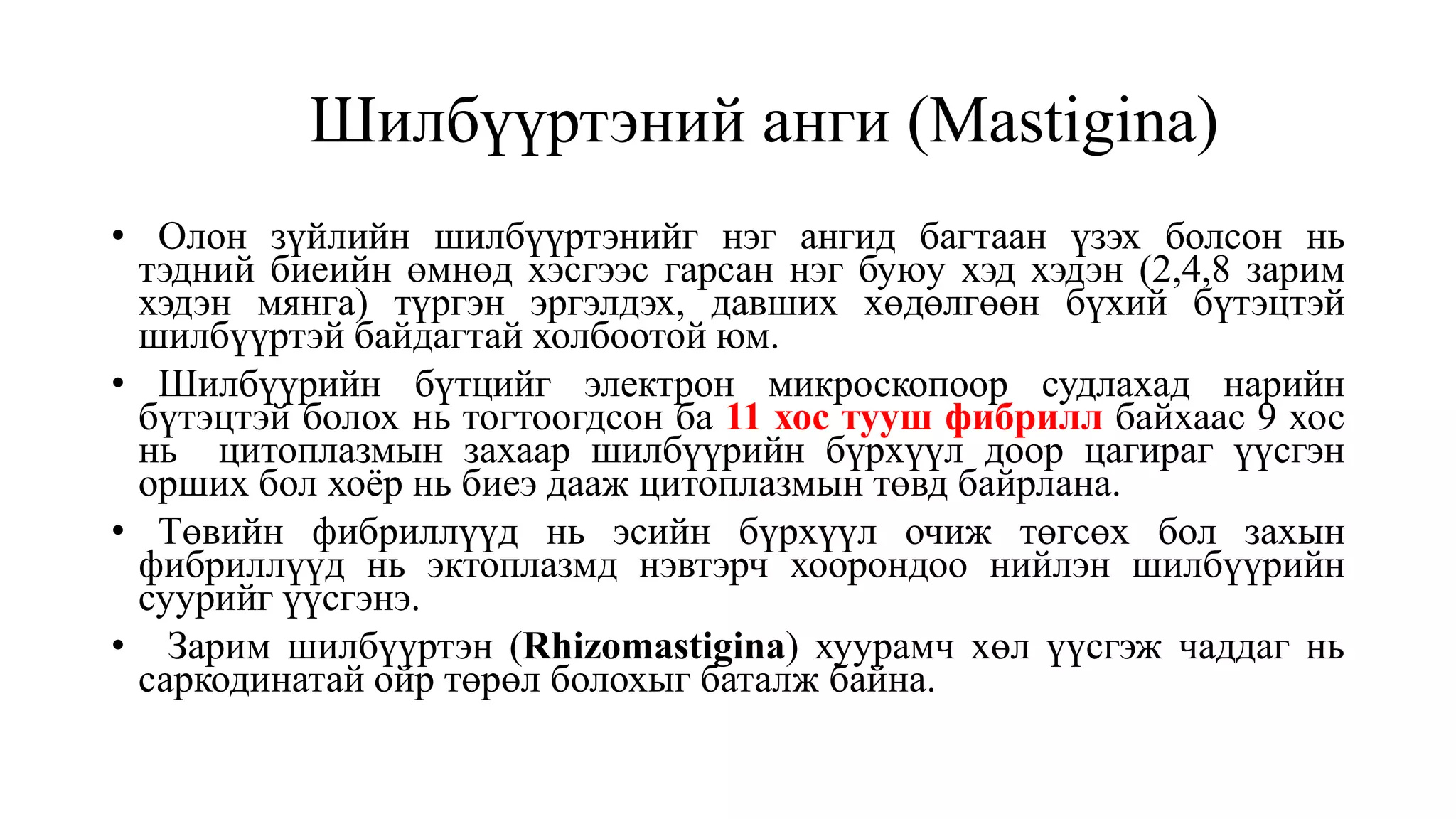 Шилбүүртэний анги (Mastigina)
• Олон зүйлийн шилбүүртэнийг нэг ангид багтаан үзэх болсон нь
тэдний биеийн өмнөд хэсгээс гарсан нэг буюу хэд хэдэн (2,4,8 зарим
хэдэн мянга) түргэн эргэлдэх, давших хөдөлгөөн бүхий бүтэцтэй
шилбүүртэй байдагтай холбоотой юм.
• Шилбүүрийн бүтцийг электрон микроскопоор судлахад нарийн
бүтэцтэй болох нь тогтоогдсон ба 11 хос тууш фибрилл байхаас 9 хос
нь цитоплазмын захаар шилбүүрийн бүрхүүл доор цагираг үүсгэн
орших бол хоёр нь биеэ дааж цитоплазмын төвд байрлана.
• Төвийн фибриллүүд нь эсийн бүрхүүл очиж төгсөх бол захын
фибриллүүд нь эктоплазмд нэвтэрч хоорондоо нийлэн шилбүүрийн
суурийг үүсгэнэ.
• Зарим шилбүүртэн (Rhizomastigina) хуурамч хөл үүсгэж чаддаг нь
саркодинатай ойр төрөл болохыг баталж байна.
 