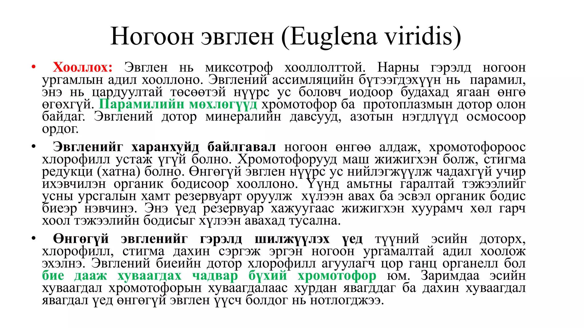 Ногоон эвглен (Euglena viridis)
• Хооллох: Эвглен нь миксотроф хооллолттой. Нарны гэрэлд ногоон
ургамлын адил хооллоно. Эвглений ассимляцийн бүтээгдэхүүн нь парамил,
энэ нь цардуултай төсөөтэй нүүрс ус боловч иодоор будахад ягаан өнгө
өгөхгүй. Парамилийн мөхлөгүүд хромотофор ба протоплазмын дотор олон
байдаг. Эвглений дотор минералийн давсууд, азотын нэгдлүүд осмосоор
ордог.
• Эвгленийг харанхуйд байлгавал ногоон өнгөө алдаж, хромотофороос
хлорофилл устаж үгүй болно. Хромотофорууд маш жижигхэн болж, стигма
редукци (хатна) болно. Өнгөгүй эвглен нүүрс ус нийлэгжүүлж чадахгүй учир
ихэвчилэн органик бодисоор хооллоно. Үүнд амьтны гаралтай тэжээлийг
усны урсгалын хамт резервуарт оруулж хүлээн авах ба эсвэл органик бодис
биеэр нэвчинэ. Энэ үед резервуар хажуугаас жижигхэн хуурамч хөл гарч
хоол тэжээлийн бодисыг хүлээн авахад тусална.
• Өнгөгүй эвгленийг гэрэлд шилжүүлэх үед түүний эсийн доторх,
хлорофилл, стигма дахин сэргэж эргэн ногоон ургамалтай адил хоолож
эхэлнэ. Эвглений биеийн дотор хлорофилл агуулагч цор ганц органелл бол
бие дааж хуваагдах чадвар бүхий хромотофор юм. Заримдаа эсийн
хуваагдал хромотофорын хуваагдалаас хурдан явагддаг ба дахин хуваагдал
явагдал үед өнгөгүй эвглен үүсч болдог нь нотлогджээ.
 