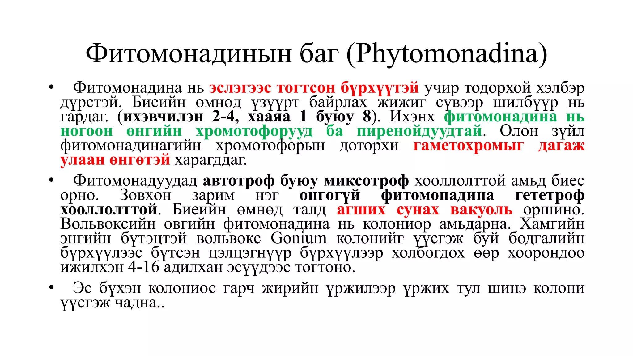 Фитомонадинын баг (Phytomonadina)
• Фитомонадина нь эслэгээс тогтсон бүрхүүтэй учир тодорхой хэлбэр
дүрстэй. Биеийн өмнөд үзүүрт байрлах жижиг сүвээр шилбүүр нь
гардаг. (ихэвчилэн 2-4, хааяа 1 буюу 8). Ихэнх фитомонадина нь
ногоон өнгийн хромотофорууд ба пиренойдуудтай. Олон зүйл
фитомонадинагийн хромотофорын доторхи гаметохромыг дагаж
улаан өнгөтэй харагддаг.
• Фитомонадуудад автотроф буюу миксотроф хооллолттой амьд биес
орно. Зөвхөн зарим нэг өнгөгүй фитомонадина гететроф
хооллолттой. Биеийн өмнөд талд агших сунах вакуоль оршино.
Вольвоксийн овгийн фитомонадина нь колониор амьдарна. Хамгийн
энгийн бүтэцтэй вольвокс Gonium колонийг үүсгэж буй бодгалийн
бүрхүүлээс бүтсэн цэлцэгнүүр бүрхүүлээр холбогдох өөр хоорондоо
ижилхэн 4-16 адилхан эсүүдээс тогтоно.
• Эс бүхэн колониос гарч жирийн үржилээр үржих тул шинэ колони
үүсгэж чадна..
 