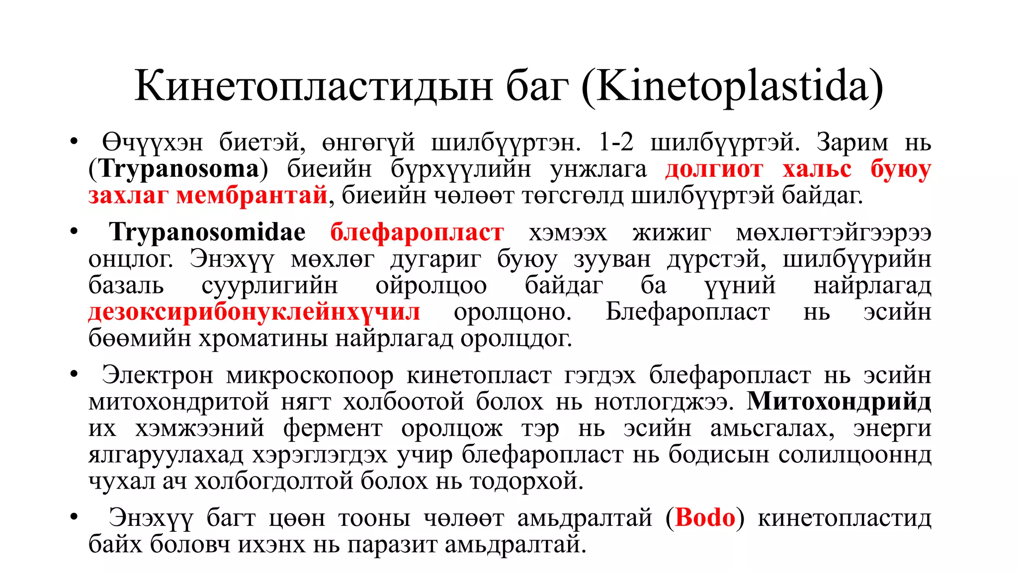 Кинетопластидын баг (Kinetoplastida)
• Өчүүхэн биетэй, өнгөгүй шилбүүртэн. 1-2 шилбүүртэй. Зарим нь
(Trypanosoma) биеийн бүрхүүлийн унжлага долгиот хальс буюу
захлаг мембрантай, биеийн чөлөөт төгсгөлд шилбүүртэй байдаг.
• Trypanosomidae блефаропласт хэмээх жижиг мөхлөгтэйгээрээ
онцлог. Энэхүү мөхлөг дугариг буюу зууван дүрстэй, шилбүүрийн
базаль суурлигийн ойролцоо байдаг ба үүний найрлагад
дезоксирибонуклейнхүчил оролцоно. Блефаропласт нь эсийн
бөөмийн хроматины найрлагад оролцдог.
• Электрон микроскопоор кинетопласт гэгдэх блефаропласт нь эсийн
митохондритой нягт холбоотой болох нь нотлогджээ. Митохондрийд
их хэмжээний фермент оролцож тэр нь эсийн амьсгалах, энерги
ялгаруулахад хэрэглэгдэх учир блефаропласт нь бодисын солилцооннд
чухал ач холбогдолтой болох нь тодорхой.
• Энэхүү багт цөөн тооны чөлөөт амьдралтай (Bodo) кинетопластид
байх боловч ихэнх нь паразит амьдралтай.
 