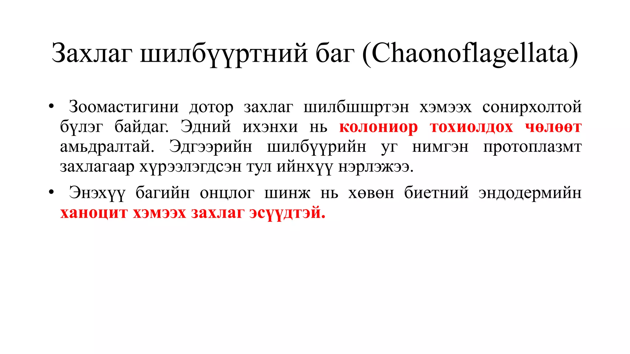 Захлаг шилбүүртний баг (Chaonoflagellata)
• Зоомастигини дотор захлаг шилбшшртэн хэмээх сонирхолтой
бүлэг байдаг. Эдний ихэнхи нь колониор тохиолдох чөлөөт
амьдралтай. Эдгээрийн шилбүүрийн уг нимгэн протоплазмт
захлагаар хүрээлэгдсэн тул ийнхүү нэрлэжээ.
• Энэхүү багийн онцлог шинж нь хөвөн биетний эндодермийн
ханоцит хэмээх захлаг эсүүдтэй.
 