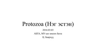 Protozoa (Нэг эстэн)
2016:03:03
АБТА, МУ-ын зөвлөх багш
Ц. Баярхүү
 