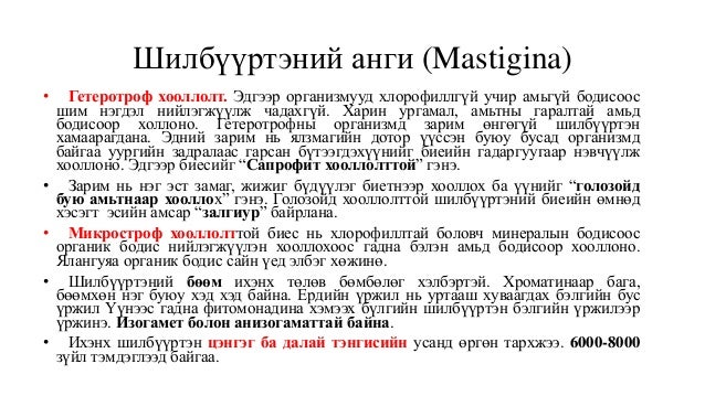 Protozoa (нэг эстэн)