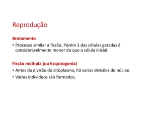 ReproduçãoReproduçãoReproduçãoReprodução
Brotamento
• Processo similar à fissão. Porém 1 das células geradas é
consideravelmente menor do que a célula inicial.
Fissão múltipla (ou Esquizogonia)
• Antes da divisão do citoplasma, há varias divisões do núcleo.
• Vários indivíduos são formados.
 