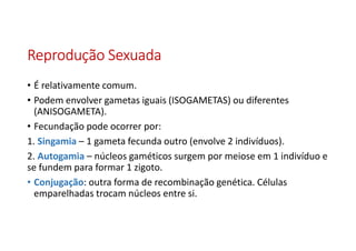 Reprodução SexuadaReprodução SexuadaReprodução SexuadaReprodução Sexuada
• É relativamente comum.
• Podem envolver gametas iguais (ISOGAMETAS) ou diferentes
(ANISOGAMETA).
• Fecundação pode ocorrer por:
1. Singamia – 1 gameta fecunda outro (envolve 2 indivíduos).
2. Autogamia – núcleos gaméticos surgem por meiose em 1 indivíduo e
se fundem para formar 1 zigoto.
• Conjugação: outra forma de recombinação genética. Células
emparelhadas trocam núcleos entre si.
 