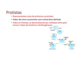 ProtistasProtistasProtistasProtistas
• Representantes vivos do primeiros eucariotos.
• Todos são seres eucariontes com núcleo bem definido.
• Todos os Protistas se desenvolveram por simbiose entre pelo
menos 2 tipos de bactérias (=Simbiogênese).
 