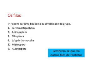Os filosOs filosOs filosOs filos
Podem dar uma boa ideia da diversidade do grupo.
1. Sarcomastigophora
2. Apicomplexa
3. Ciliophora
4. Labyrinthomorpha
5. Microspora
6. Ascetospora
Lembrem-se que há
outros filos de Protistas
 