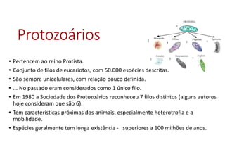 ProtozoáriosProtozoáriosProtozoáriosProtozoários
• Pertencem ao reino Protista.
• Conjunto de filos de eucariotos, com 50.000 espécies descritas.
• São sempre unicelulares, com relação pouco definida.
• ... No passado eram considerados como 1 único filo.
• Em 1980 a Sociedade dos Protozoários reconheceu 7 filos distintos (alguns autores
hoje consideram que são 6).
• Tem características próximas dos animais, especialmente heterotrofia e a
mobilidade.
• Espécies geralmente tem longa existência - superiores a 100 milhões de anos.
 