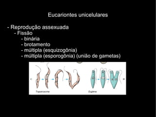 Eucariontes unicelulares
- Reprodução assexuada
- Fissão
- binária
- brotamento
- múltipla (esquizogônia)
- múltipla (esporogônia) (união de gametas)
 