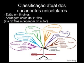Classificação atual dos
eucariontes unicelulares
- Estão em 5 reinos
- Abrangem cerca de 11 filos
(7 a 30 filos a depender do autor)
 