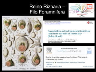 Reino Rizharia –
Filo Foramnifera
 