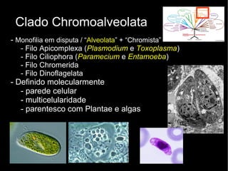 Clado Chromoalveolata
- Monofilia em disputa / “Alveolata” + “Chromista”
- Filo Apicomplexa (Plasmodium e Toxoplasma)
- Filo Ciliophora (Paramecium e Entamoeba)
- Filo Chromerida
- Filo Dinoflagelata
- Definido molecularmente
- parede celular
- multicelularidade
- parentesco com Plantae e algas
 