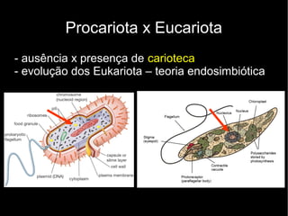Procariota x Eucariota
- ausência x presença de carioteca
- evolução dos Eukariota – teoria endosimbiótica
 