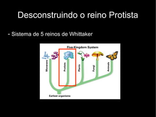Desconstruindo o reino Protista
- Sistema de 5 reinos de Whittaker
 