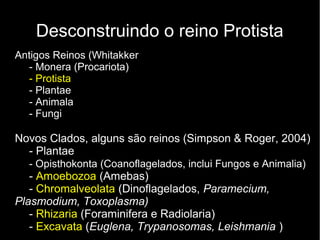 Desconstruindo o reino Protista
Antigos Reinos (Whitakker
- Monera (Procariota)
- Protista
- Plantae
- Animala
- Fungi
Novos Clados, alguns são reinos (Simpson & Roger, 2004)
- Plantae
- Opisthokonta (Coanoflagelados, inclui Fungos e Animalia)
- Amoebozoa (Amebas)
- Chromalveolata (Dinoflagelados, Paramecium,
Plasmodium, Toxoplasma)
- Rhizaria (Foraminifera e Radiolaria)
- Excavata (Euglena, Trypanosomas, Leishmania )
 