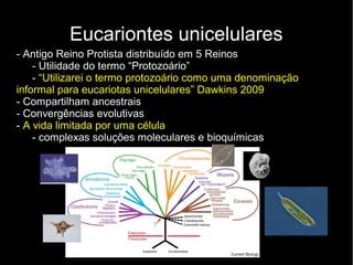 Eucariontes unicelulares
- Antigo Reino Protista distribuído em 5 Reinos
- Utilidade do termo “Protozoário”
- “Utilizarei o termo protozoário como uma denominação
informal para eucariotas unicelulares” Dawkins 2009
- Compartilham ancestrais
- Convergências evolutivas
- A vida limitada por uma célula
- complexas soluções moleculares e bioquímicas
 