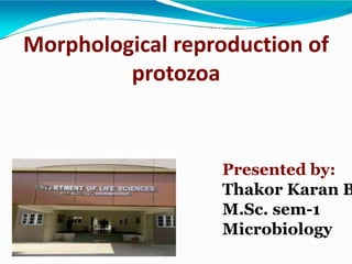 Morphological reproduction of
protozoa
Presented by:
Thakor Karan B
M.Sc. sem-1
Microbiology
 