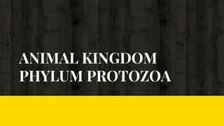 ANIMAL KINGDOM
PHYLUM PROTOZOA
 