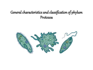 General characteristics andclassification of phylum
Protozoa
 