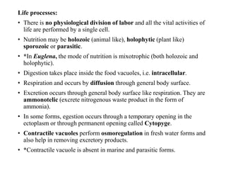 General characteristics and classification of phylum Protozoa | PPTX