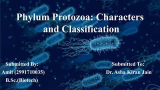 Phylum Protozoa: Characters
and Classification
Submitted By: Submitted To:
Amit (2991710035) Dr. Asha Kiran Jain
B.Sc.(Biotech)
 