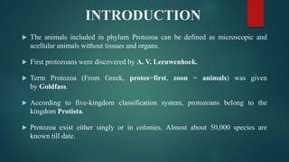 INTRODUCTION
 The animals included in phylum Protozoa can be defined as microscopic and
acellular animals without tissues and organs.
 First protozoans were discovered by A. V. Leeuwenhoek.
 Term Protozoa (From Greek, protos=first, zoon = animals) was given
by Goldfass.
 According to five-kingdom classification system, protozoans belong to the
kingdom Protista.
 Protozoa exist either singly or in colonies. Almost about 50,000 species are
known till date.
 