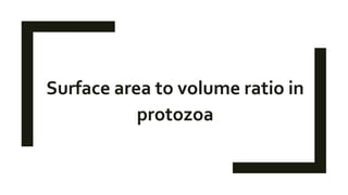 Surface area to volume ratio in
protozoa
 
