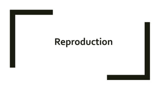 Reproduction
 