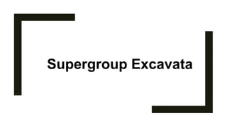 Supergroup Excavata
 
