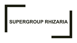 SUPERGROUP RHIZARIA
 