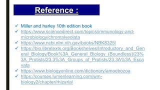 Reference :
 Miller and harley 10th edition book
 https://www.sciencedirect.com/topics/immunology-and-
microbiology/chromalveolata
 https://www.ncbi.nlm.nih.gov/books/NBK8325/
 https://bio.libretexts.org/Bookshelves/Introductory_and_Gen
eral_Biology/Book%3A_General_Biology_(Boundless)/23%
3A_Protists/23.3%3A_Groups_of_Protists/23.3A%3A_Exca
vata
 https://www.biologyonline.com/dictionary/amoebozoa
 https://courses.lumenlearning.com/wm-
biology2/chapter/rhizaria/
 