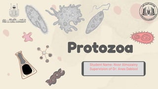 Protozoa
Student Name: Noor Almozainy
Supervision of Dr: Anas Dablool
 