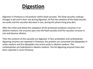 Digestion
Digestion in Protozoa is intracellular within food vacuoles. The food vacuoles undergo
changes in pH and in their size during digestion. At first the contents of the food vacuole
are acidic and the vacuoles decrease in size, during this phase living prey dies.
After the initial acid phase the cytoplasm of the protozoan produces enzymes in an
alkaline medium, the enzymes pass into the food vacuoles and the vacuoles increase in
size and become alkaline.
Then the contents of the vacuoles are digested. In fact, proteolytic and carbohydrate
digesting enzymes are reported in Protozoa; the proteins are converted into dipeptides in
acidic medium and the dipeptides into amino-acids in alkaline medium. The
carbohydrates are hydrolysed in alkaline medium. The fat digesting enzymes have also
been reported in some Protozoa.
 