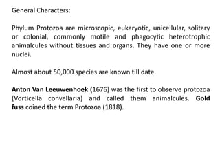 General Characters:
Phylum Protozoa are microscopic, eukaryotic, unicellular, solitary
or colonial, commonly motile and phagocytic heterotrophic
animalcules without tissues and organs. They have one or more
nuclei.
Almost about 50,000 species are known till date.
Anton Van Leeuwenhoek (1676) was the first to observe protozoa
(Vorticella convellaria) and called them animalcules. Gold
fuss coined the term Protozoa (1818).
 