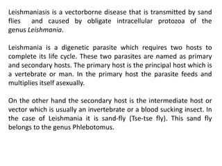 Leishmaniasis is a vectorborne disease that is transmitted by sand
flies and caused by obligate intracellular protozoa of the
genus Leishmania.
Leishmania is a digenetic parasite which requires two hosts to
complete its life cycle. These two parasites are named as primary
and secondary hosts. The primary host is the principal host which is
a vertebrate or man. In the primary host the parasite feeds and
multiplies itself asexually.
On the other hand the secondary host is the intermediate host or
vector which is usually an invertebrate or a blood sucking insect. In
the case of Leishmania it is sand-fly (Tse-tse fly). This sand fly
belongs to the genus Phlebotomus.
 