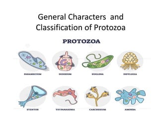 General Characters and
Classification of Protozoa
 