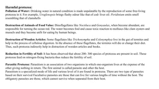 Harmful protozoa:
Pollution of Water: Drinking water in natural condition is made unpalatable by the reproduction of some free-living
protozoa in it. For example, Uroglenopsis brings flashy odour like that of cod- liver oil. Peridinium emits smell
resembling that of clamshells
Destruction of Animals of Food Value: Dinoflagellates like Noctiluca and Gonyaulax, when become abundant, are
responsible for turning the ocean red. The water becomes foul and cause toxic reaction to molluscs like clam oysters and
mussels and they become unfit for eating by human beings.
Destruction of Wooden Articles: Some flagellates like Trichonympha and Colonymphya live in the gut of termites and
help in the process of cellulose digestion. In the absence of these flagellates, the termites will die or change their diet.
Thus, such protozoa indirectly help in distraction of wooden articles and books.
Reduction in Fertility of Soil: It has been observed that about 200- 300 species of protozoa are present in soil. These
protozoa feed on nitrogen-fixing bacteria thus reduce the fertility of soil.
Parasitic Protozoa: Parasitism is an association of two organisms in which one-organism lives at the expense of the
other giving nothing in return. The first animal is called parasite and other the host.
Parasitism is a specialized mode of life and various level of it are found in protozoa. There are two type of parasites
based on their survival Facultative parasites are those that can live for various lengths of time without the host. The
obligatory parasites are those, which cannot survive when separated from their host.
 